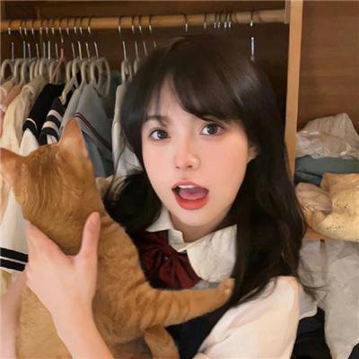五香宫的猫